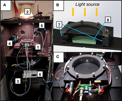 Oxygenic photosynthetic responses of cyanobacteria exposed under an M-dwarf starlight simulator: Implications for exoplanet’s habitability